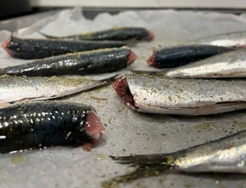 Sardinas al horno