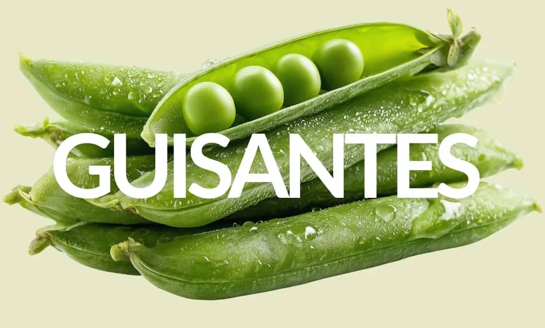 TODO LO QUE LOS GUISANTES PUEDEN HACER POR TI