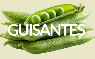 TODO LO QUE LOS GUISANTES PUEDEN HACER POR TI